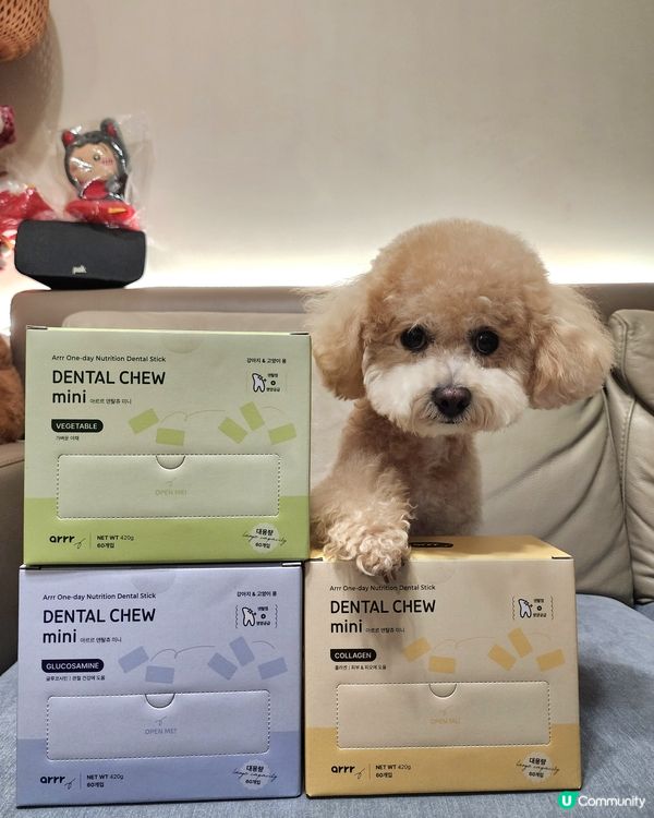 狗狗營養潔牙棒