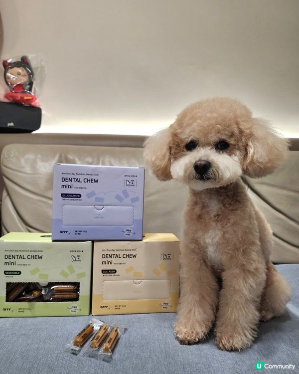 狗狗營養潔牙棒