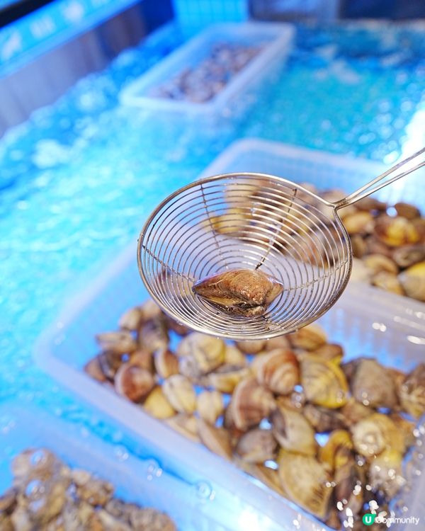 泰式火鍋放題有流水蝦同貝類任食😱