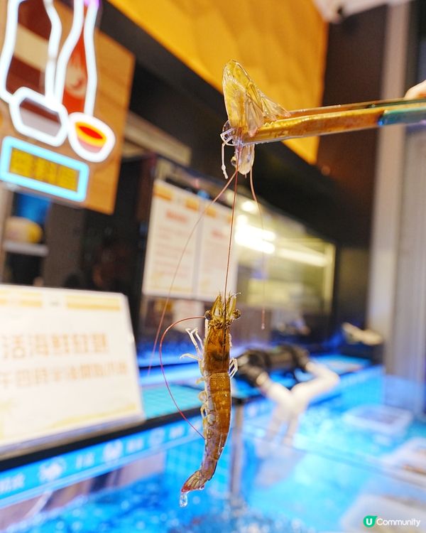 泰式火鍋放題有流水蝦同貝類任食😱