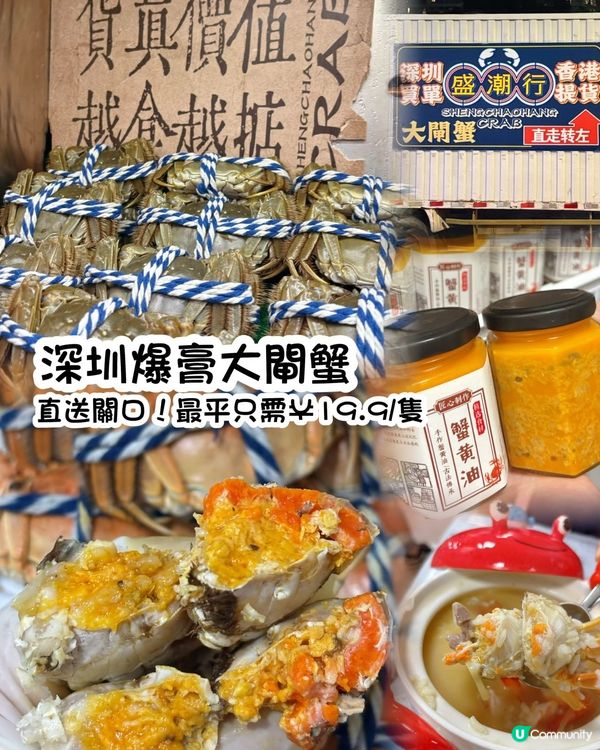 大閘蟹季🦀！爆膏蟹黃🤤！深圳老字號！