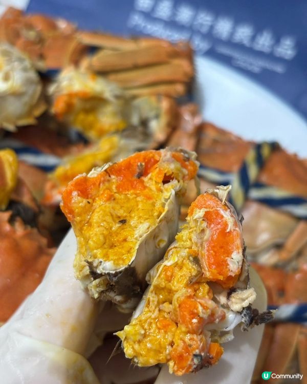 大閘蟹季🦀！爆膏蟹黃🤤！深圳老字號！