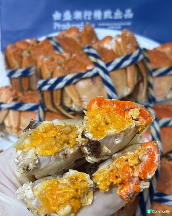 大閘蟹季🦀！爆膏蟹黃🤤！深圳老字號！