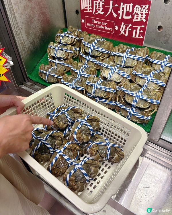 大閘蟹季🦀！爆膏蟹黃🤤！深圳老字號！