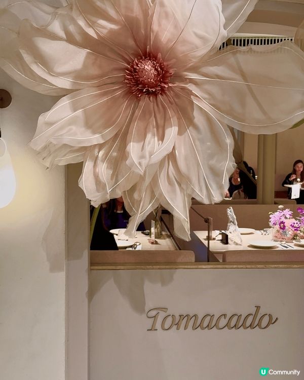 女生必去慶祝餐廳😍📸