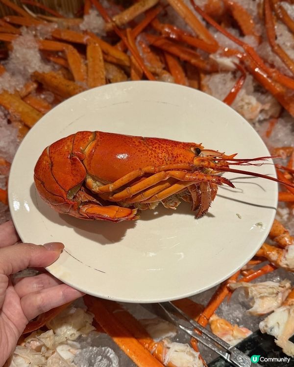 帝都柏麗廳生日驚喜！😍 兔兔碟+心太軟！🎂 寫低心意