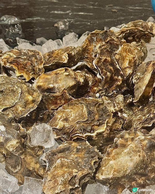 帝都柏麗廳生日驚喜！😍 兔兔碟+心太軟！🎂 寫低心意