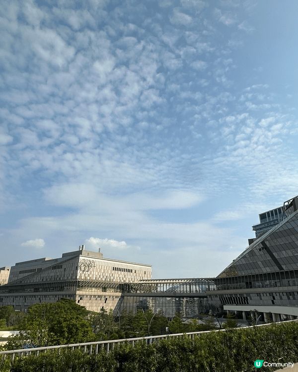 最近去左深圳蛇口K11 Ecoast, 有好多藝術作品可以參...