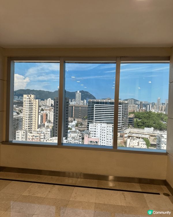 花膠炆冬菇🤤！滋補養顏，皮膚滑嘟嘟！