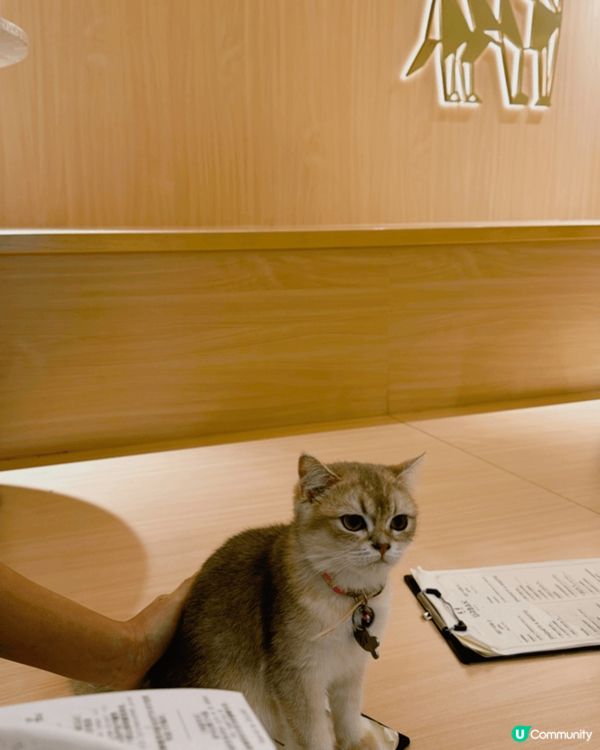 沙畫製作十分特別有趣、過程輕鬆簡單