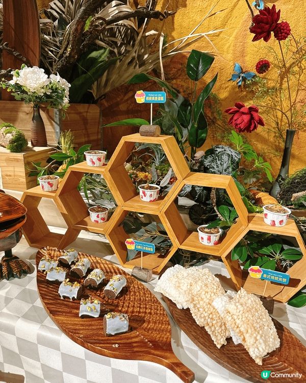 珠海御溫泉流浪咖啡，甜品控天堂！🤤🍰