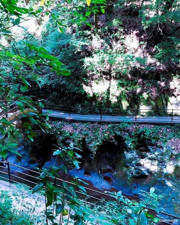 天安河原秘境探險！八百萬神明聚集地 ⛩️✨