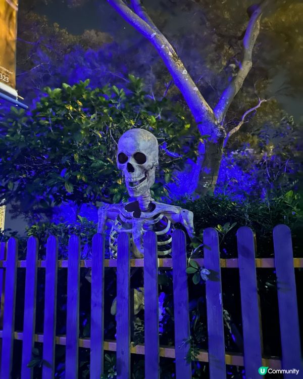 一年一度我最喜愛既海洋公園哈囉喂又黎啦👻🎃💀🧡