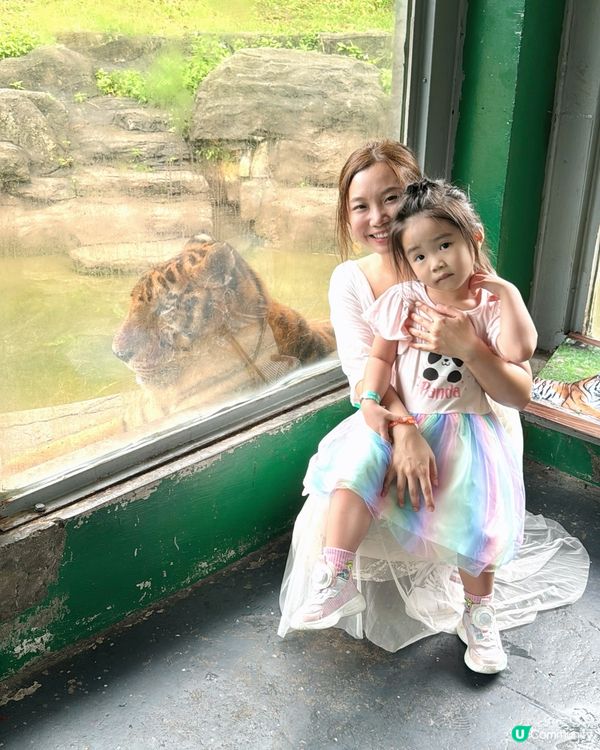 性價比超高的動物園！