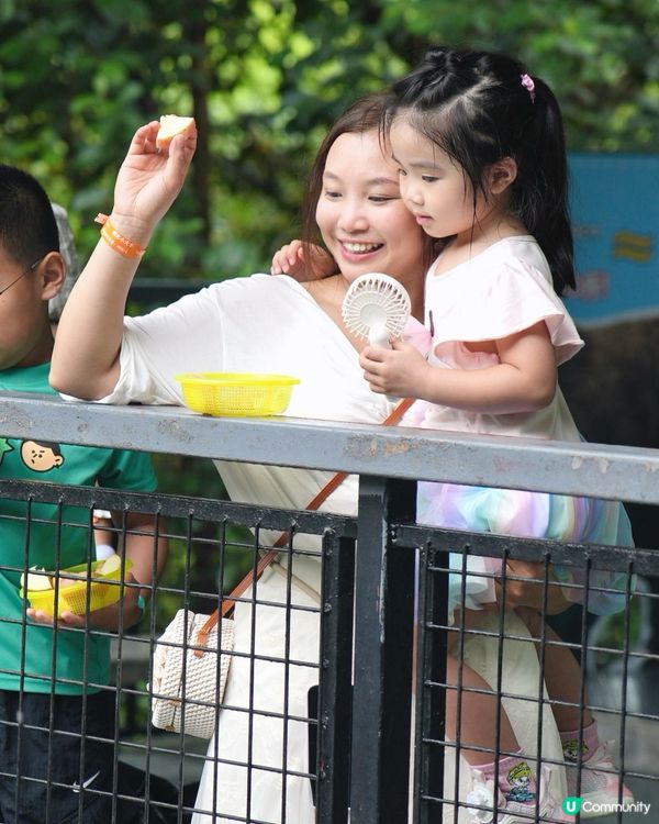 性價比超高的動物園！