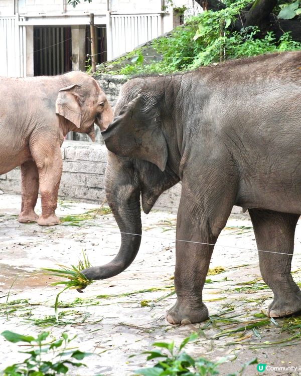 性價比超高的動物園！
