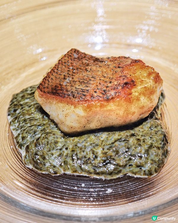 福岡博多🇯🇵親民🥰價格💰廚師👨‍🍳發板