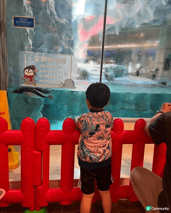 珠海企鵝酒店內餐廳，推介企鵝奶黃包，造型十分可愛，價值不算太...