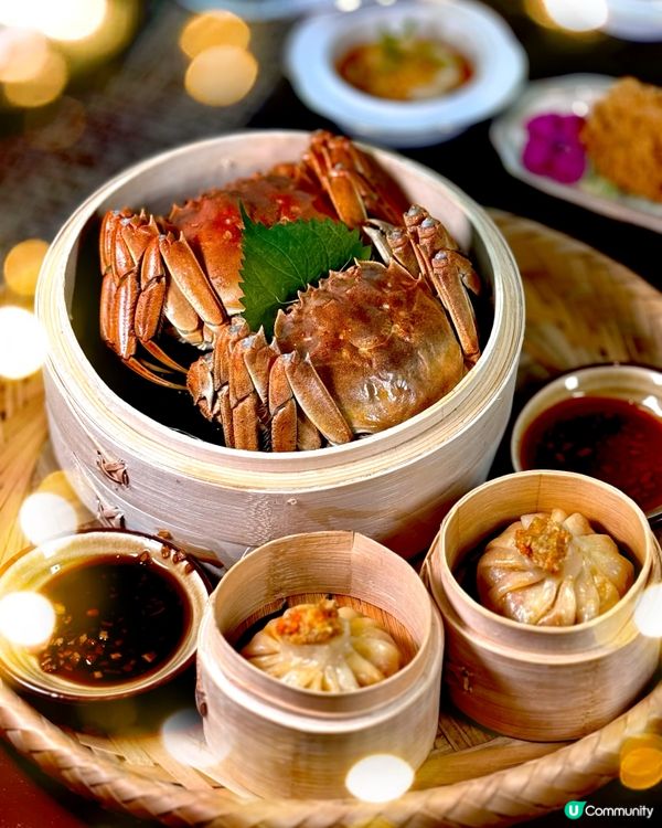 Cruise｜「秋日蟹逅下午茶」連免費泳池通行證