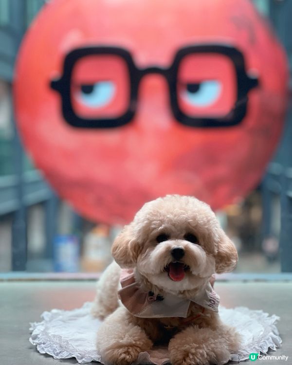 下一站「火星」南豐紗廠