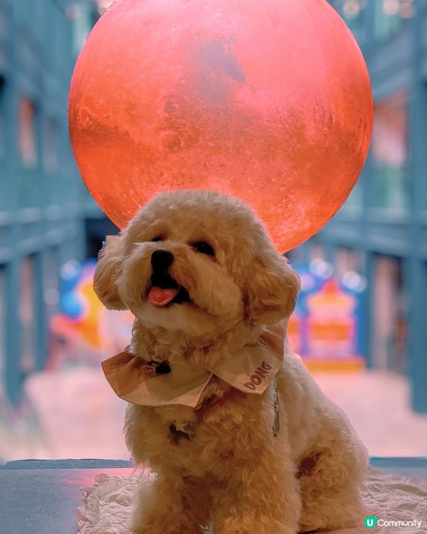 下一站「火星」南豐紗廠