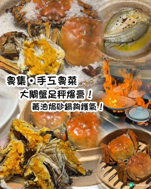 粵集大閘蟹🦀！爆膏抵食！唔試走寶！😋