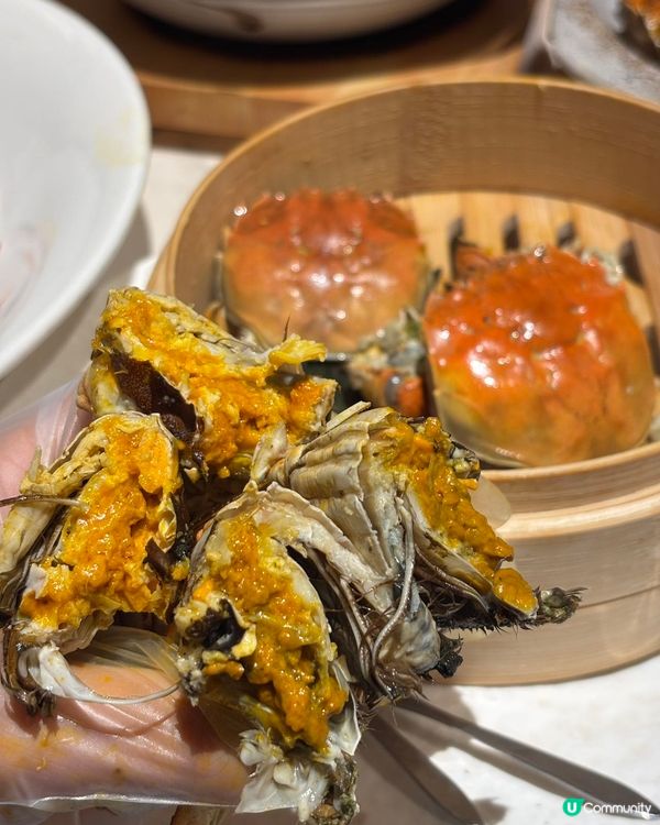 粵集大閘蟹🦀！爆膏抵食！唔試走寶！😋