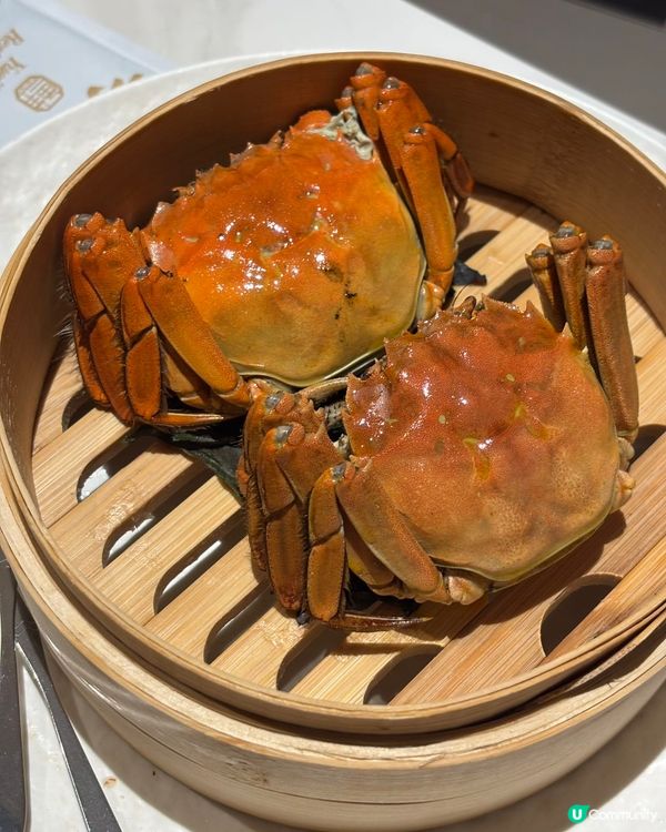 粵集大閘蟹🦀！爆膏抵食！唔試走寶！😋