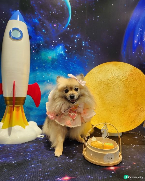 帶毛孩上太空食月餅