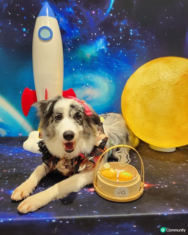帶毛孩上太空食月餅