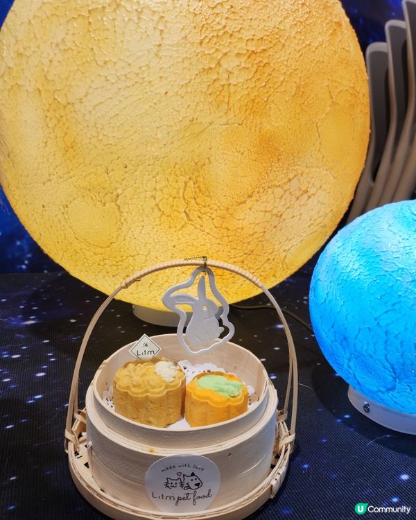 帶毛孩上太空食月餅