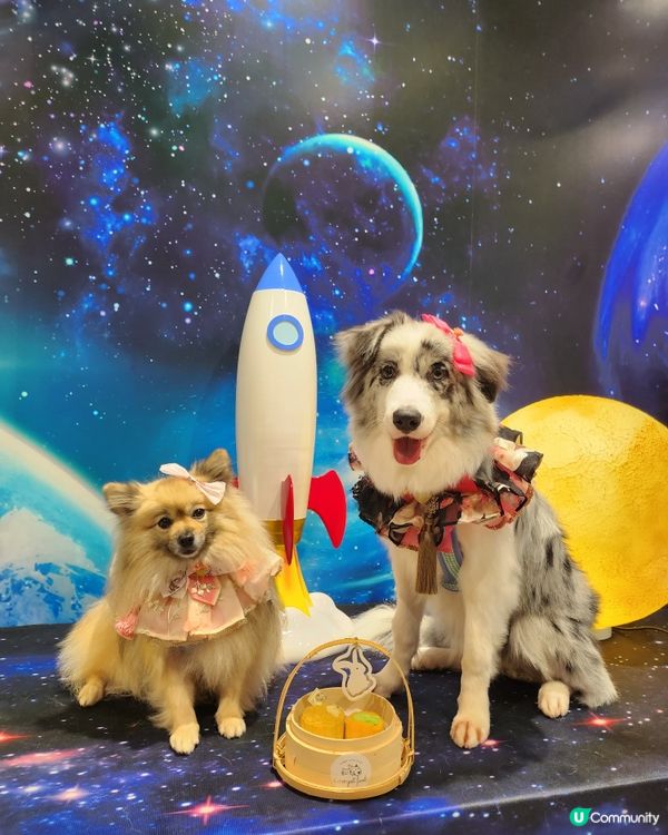 帶毛孩上太空食月餅
