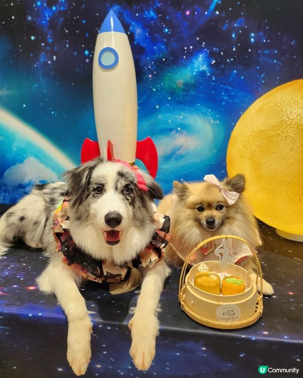 帶毛孩上太空食月餅