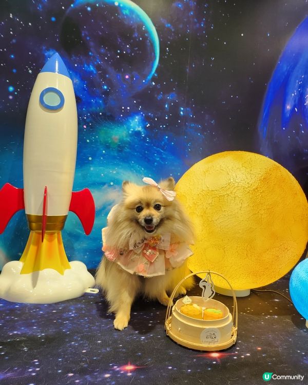 帶毛孩上太空食月餅