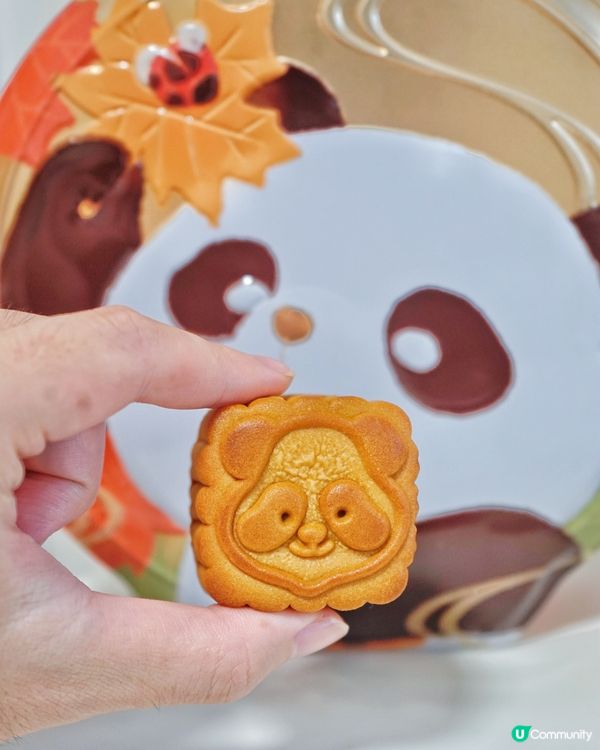 奇華熊貓月餅🐼！中秋萌爆禮盒😍！