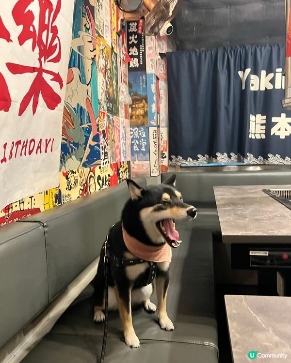 銅鑼灣寵物友善燒肉放題