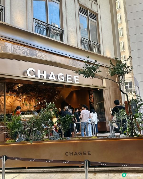 灣仔茶倉開幕！中國茶文化體驗🍵🎉