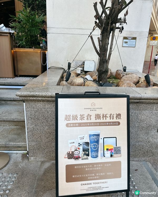 灣仔茶倉開幕！中國茶文化體驗🍵🎉