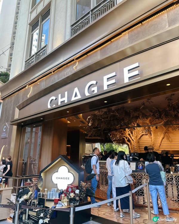 灣仔茶倉開幕！中國茶文化體驗🍵🎉