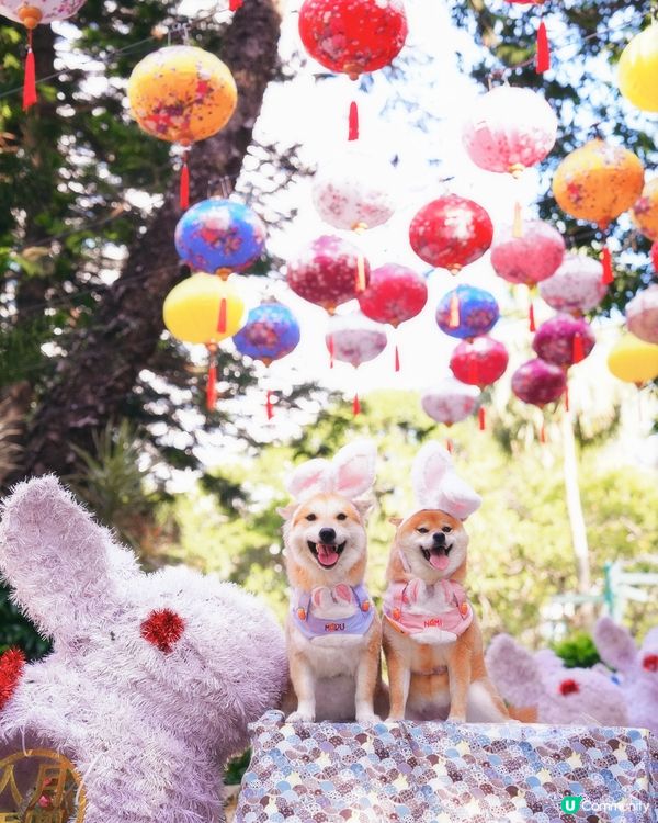 中秋節的香港公園