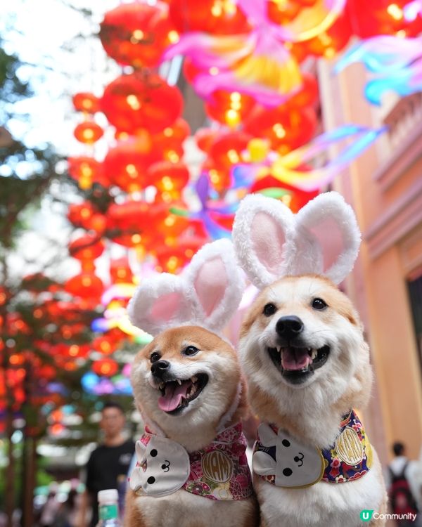 中秋節的利東街