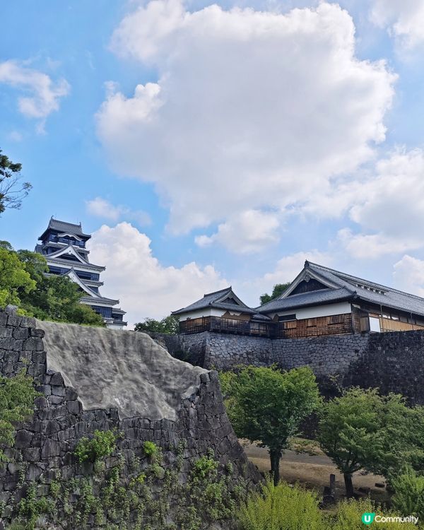 熊本城🏯歷史與🇯🇵重生之旅
