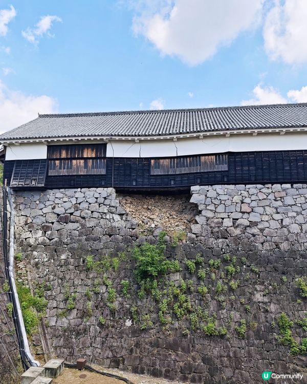 熊本城🏯歷史與🇯🇵重生之旅