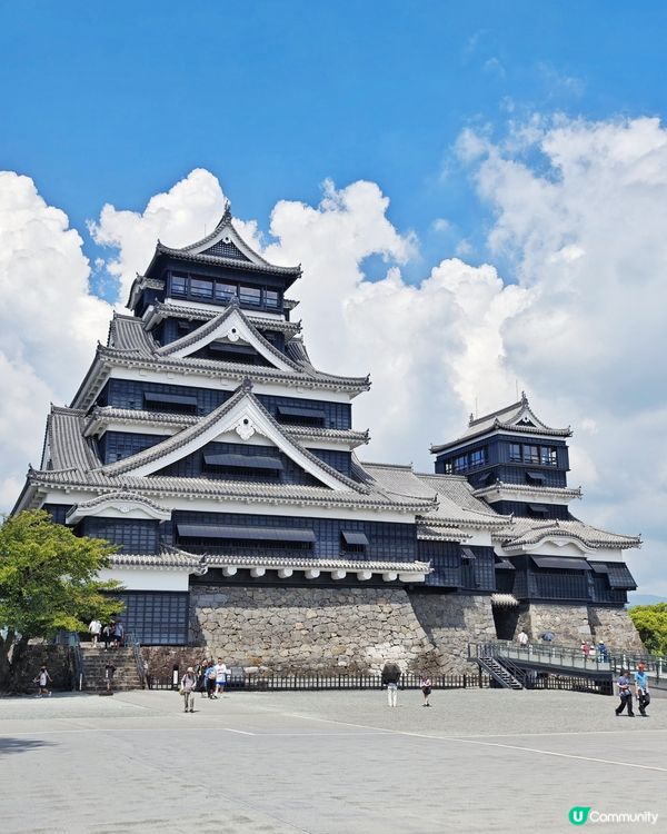 熊本城🏯歷史與🇯🇵重生之旅
