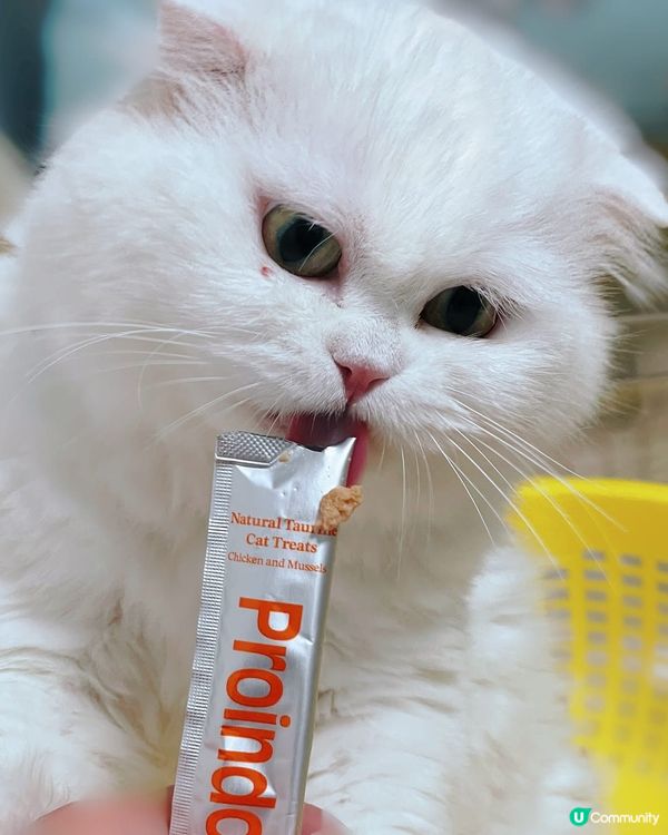 貓狗通用，對主子健康超好嘅營養補充品❣️❣️