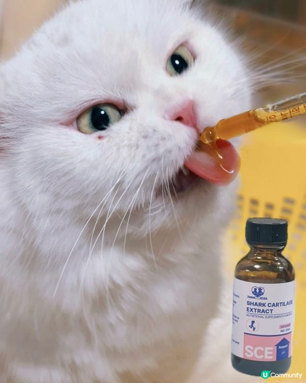 貓狗通用，對主子健康超好嘅營養補充品❣️❣️