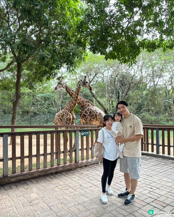 深圳野生動物園