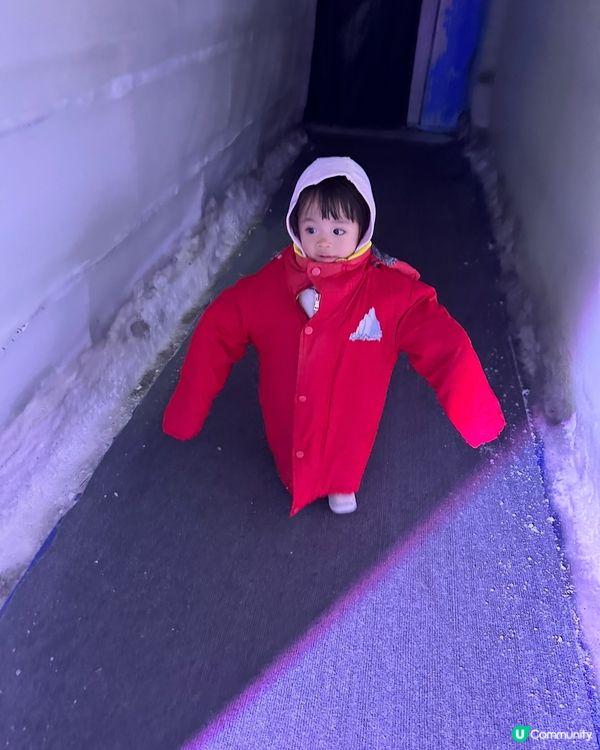 深圳野生動物園