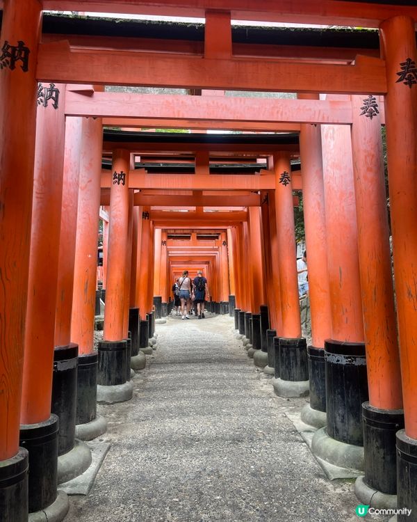 京都之旅！⛩️ 伏見稻荷嵐山攻略！🤩