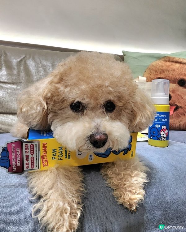 清潔 防舔一take過